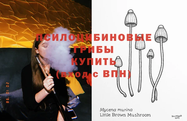 гашик Лагань