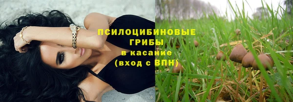 гашик Лагань