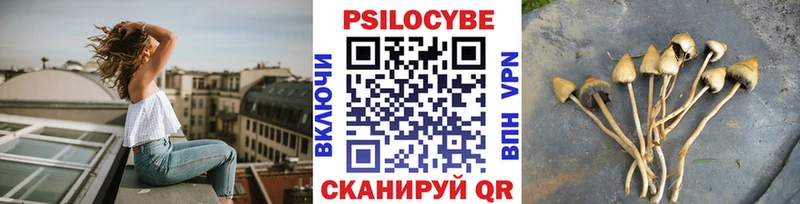 Псилоцибиновые грибы ЛСД  Ясногорск 
